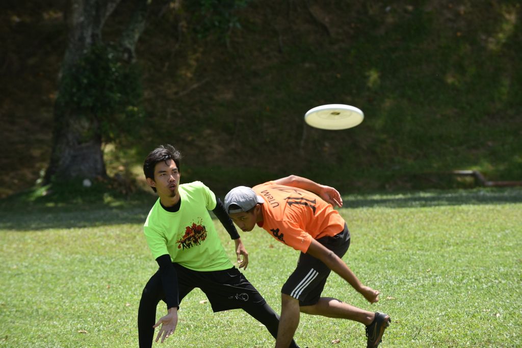 Dsc 0996